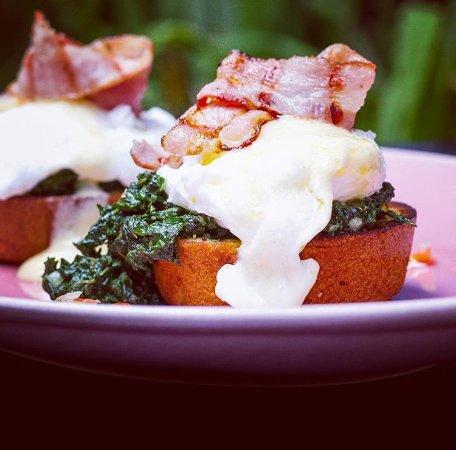 The Alchemist Kitchen & Bar